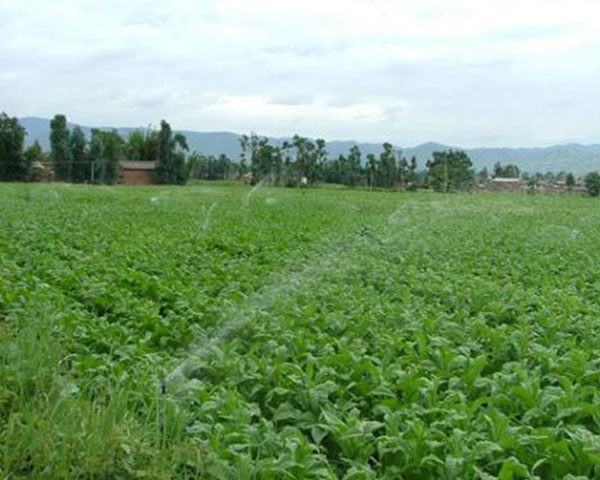 衡阳自动化灌溉